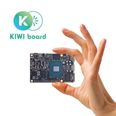 Picture of KIWI310