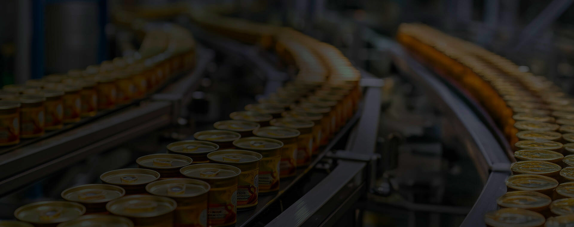 AI Vision for Packaging and Label Verification